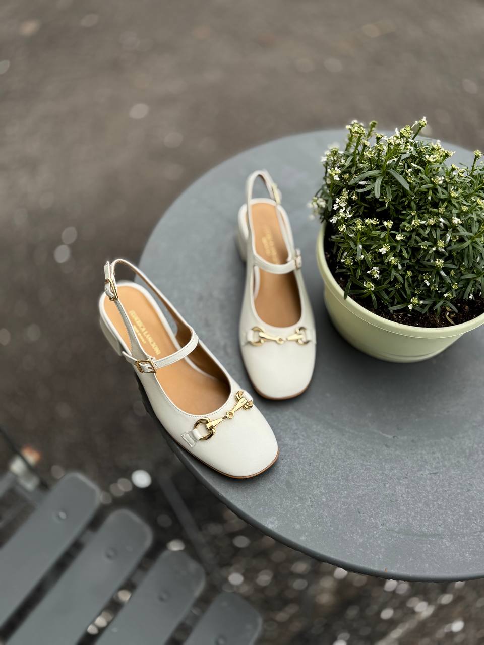 Фото Federica Lancioni