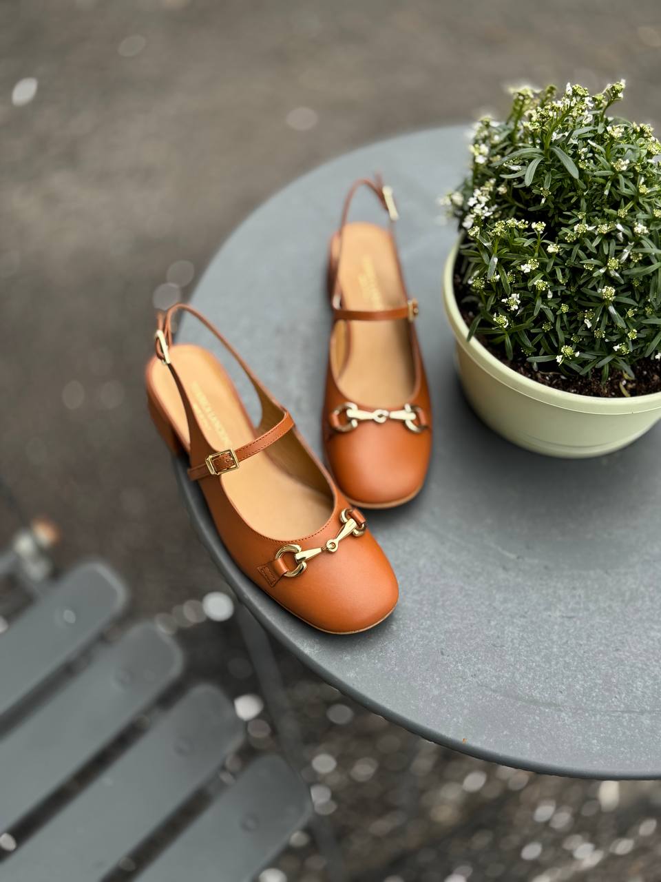 Фото Federica Lancioni