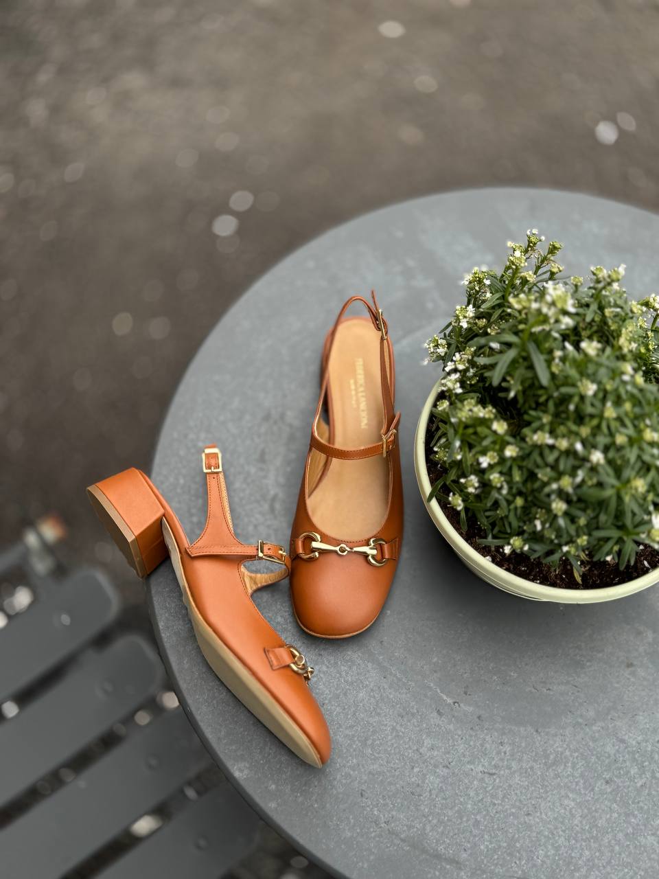 Фото Federica Lancioni