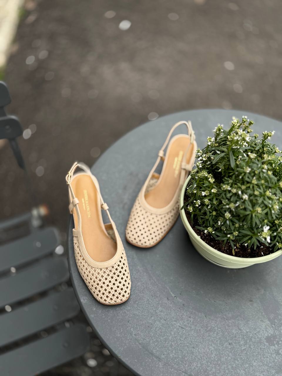 Фото Federica Lancioni