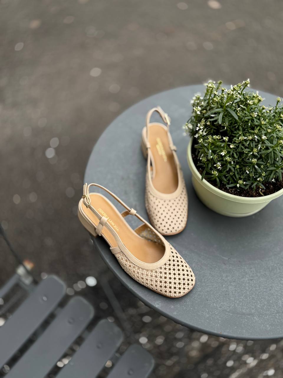 Фото Federica Lancioni