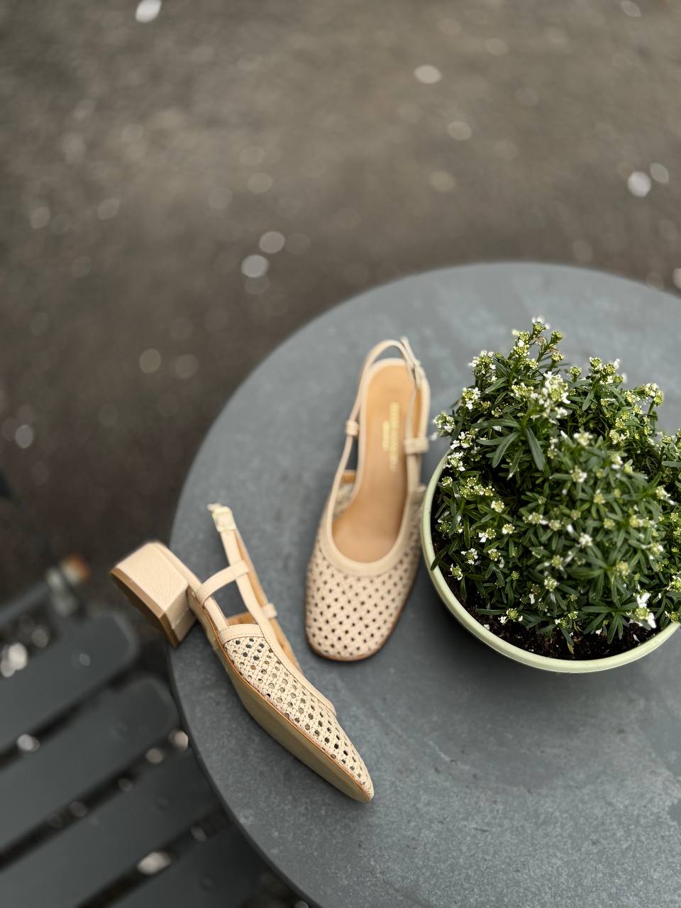 Фото Federica Lancioni