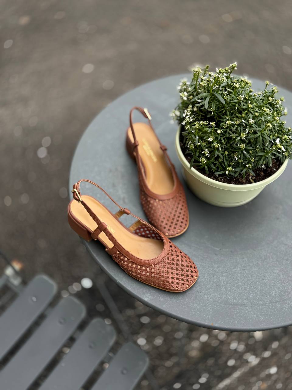 Фото Federica Lancioni