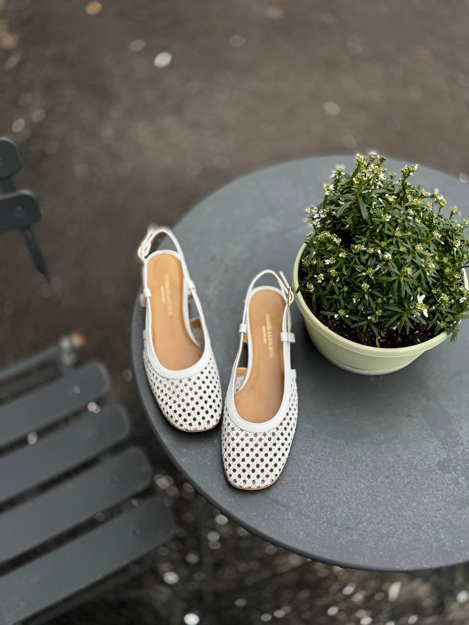 Фото Federica Lancioni