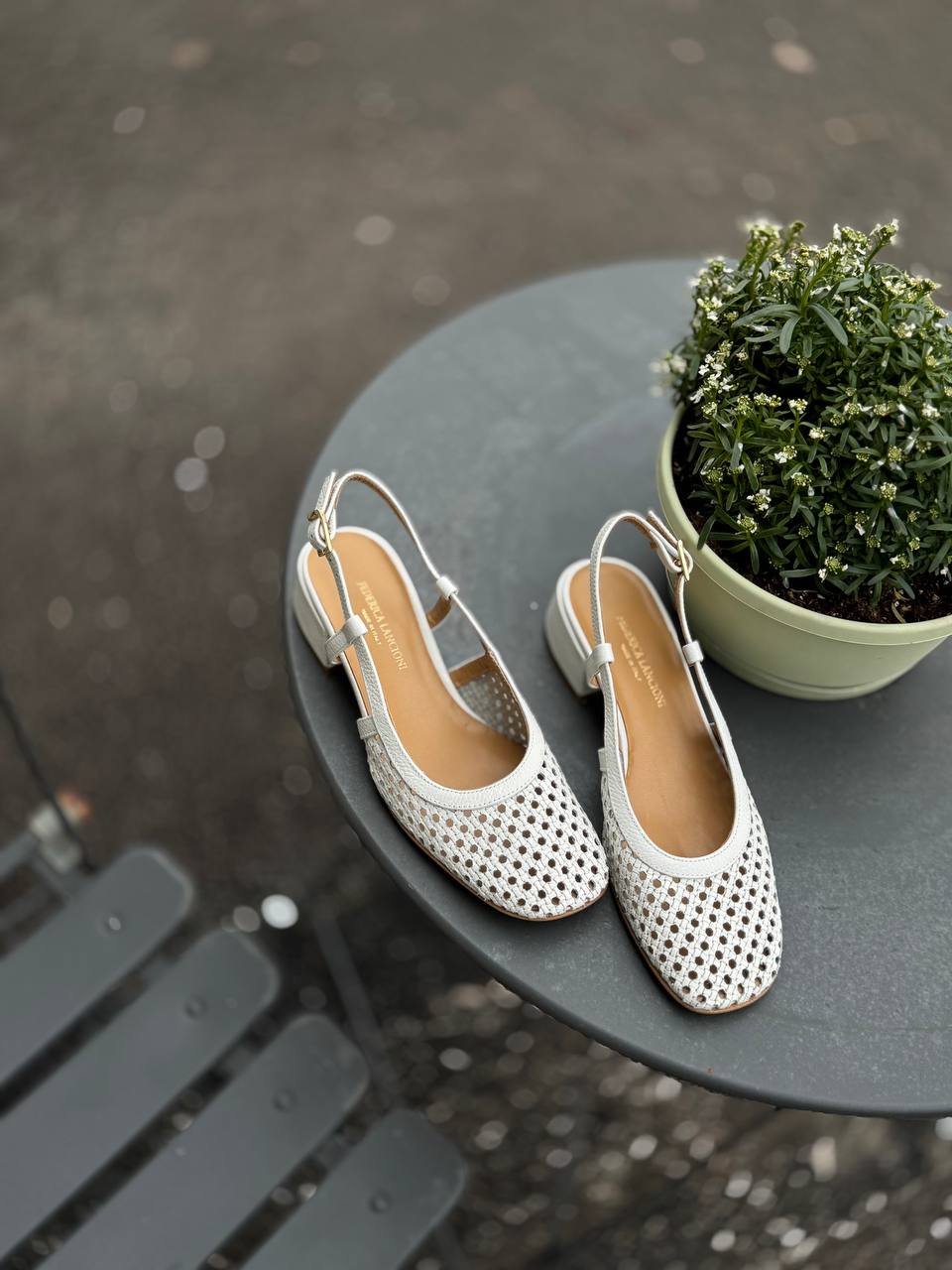 Фото Federica Lancioni