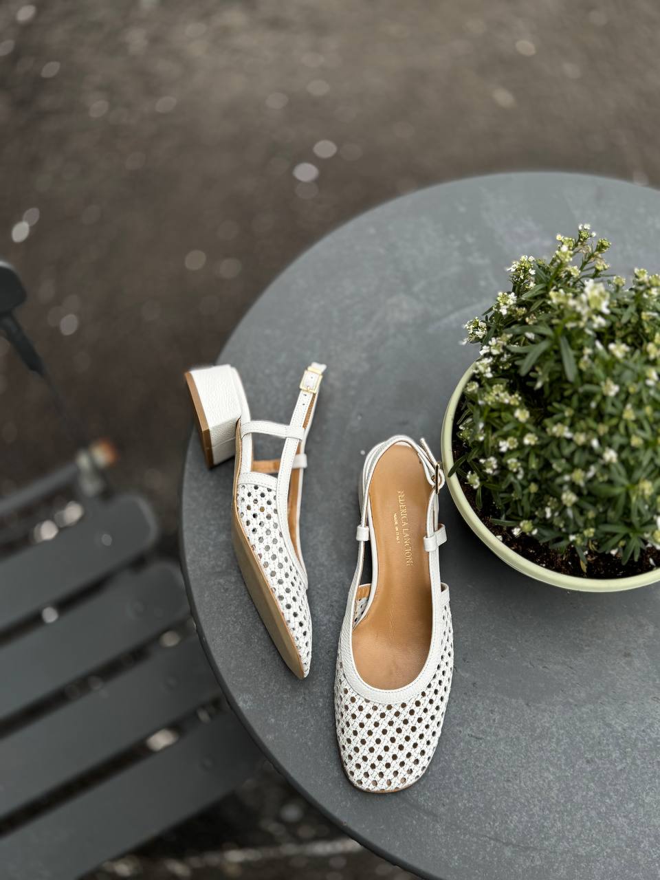 Фото Federica Lancioni