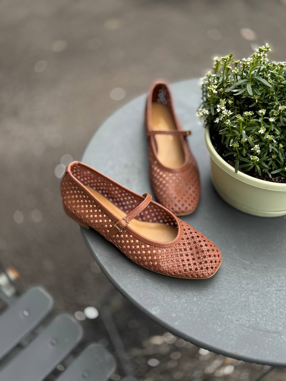 Фото Federica Lancioni