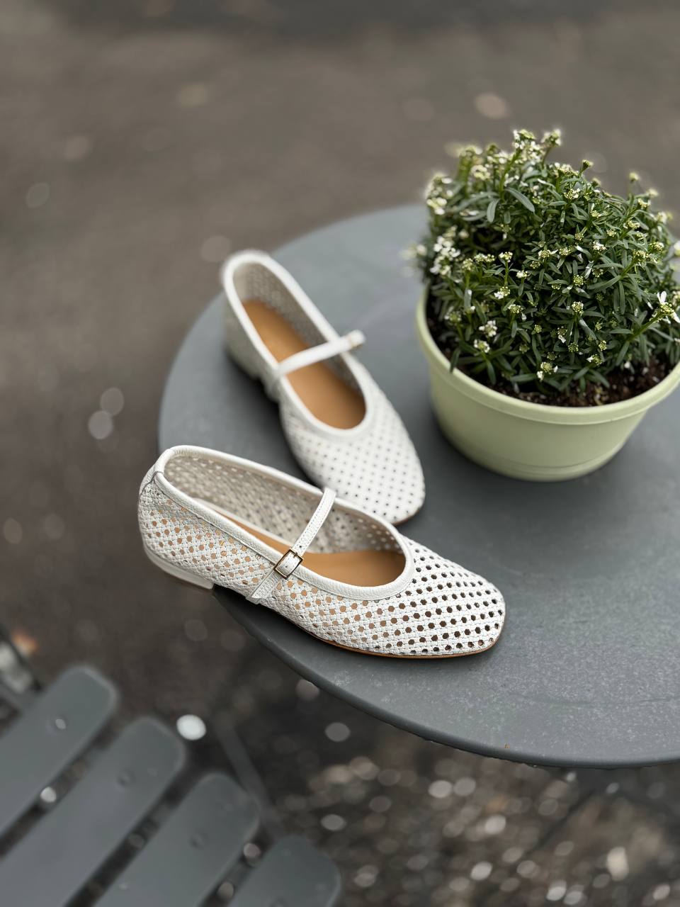 Фото Federica Lancioni