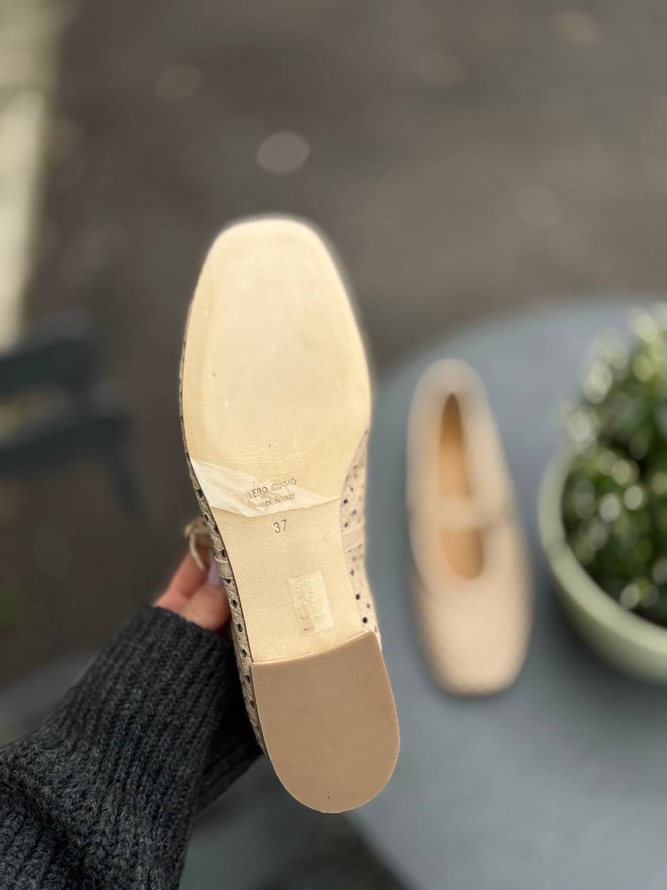 Фото Federica Lancioni