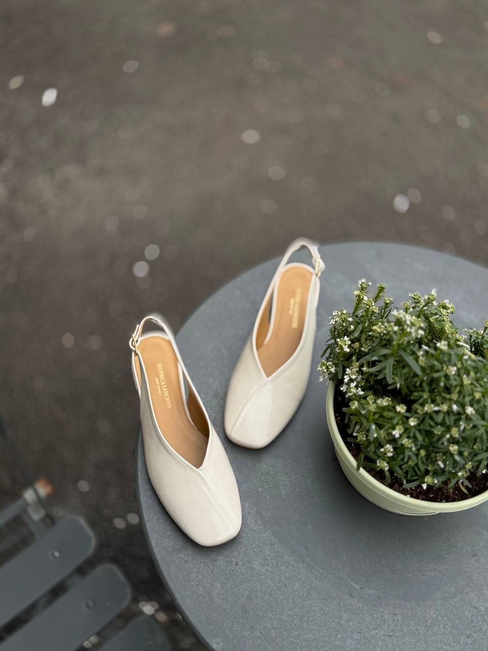 Фото Federica Lancioni