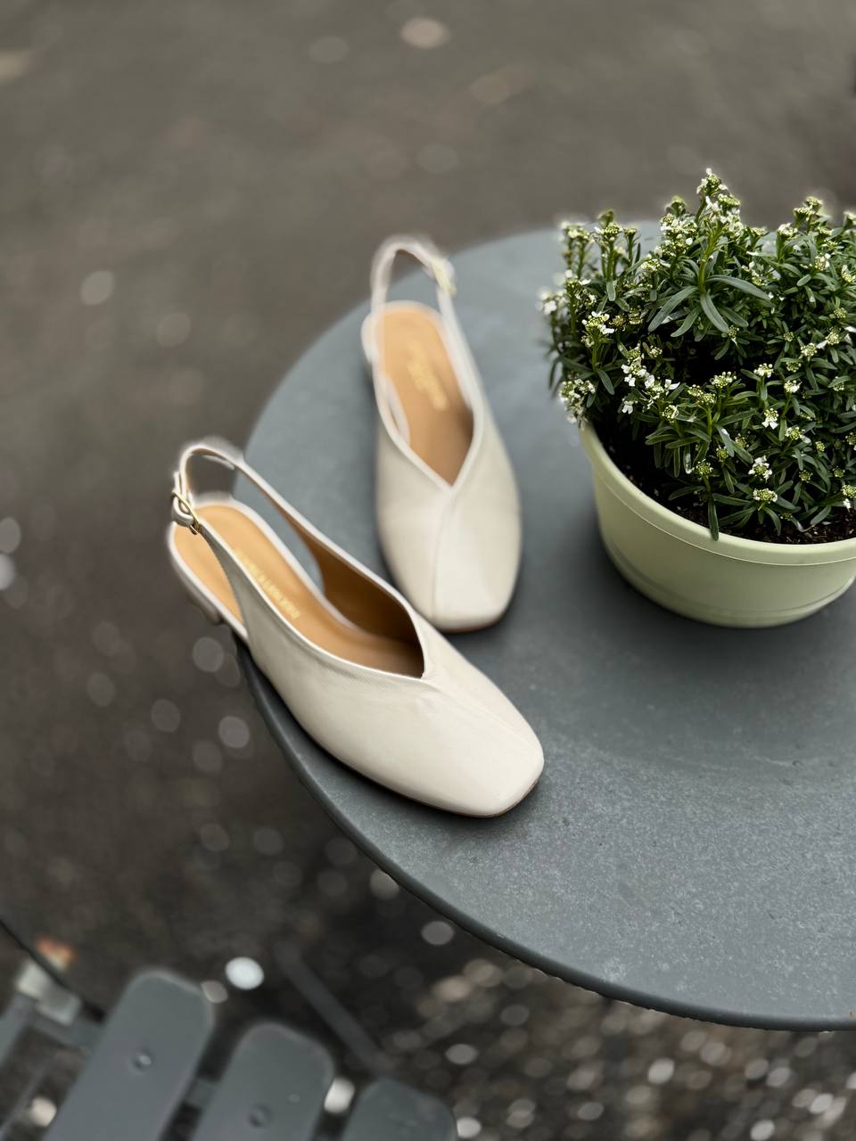 Фото Federica Lancioni