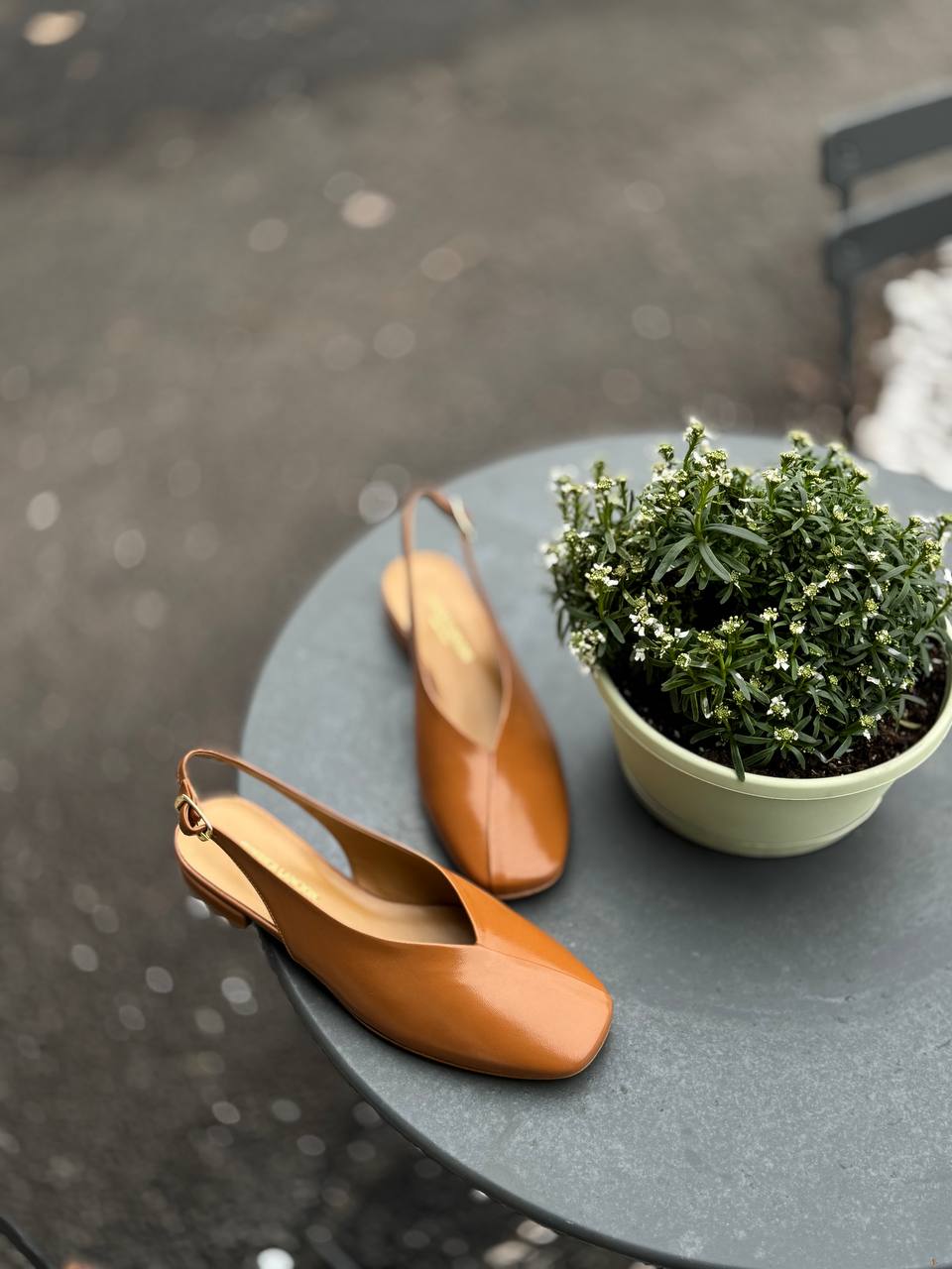 Фото Federica Lancioni