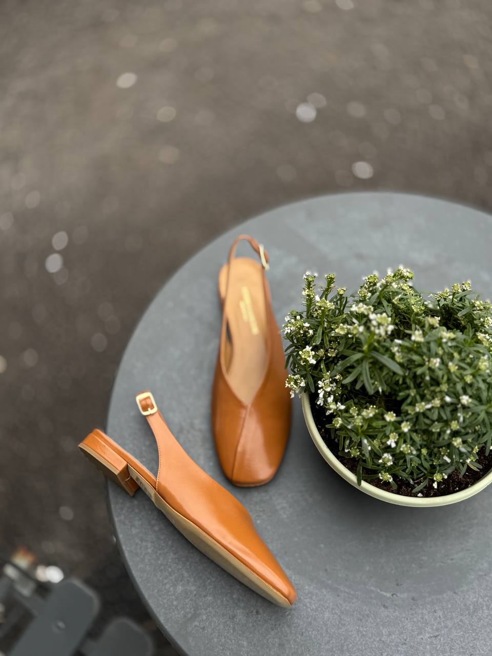 Фото Federica Lancioni