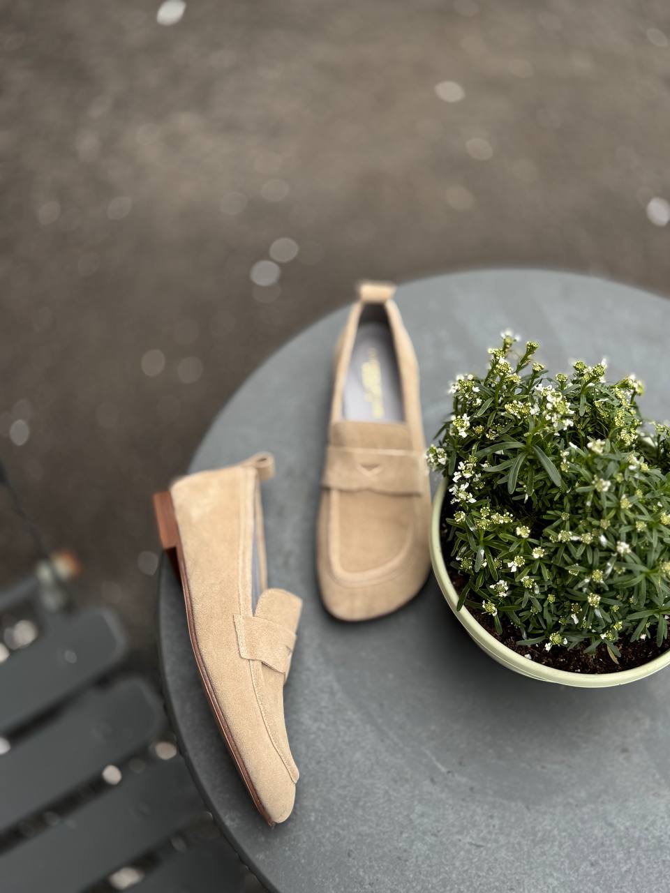 Фото Federica Lancioni