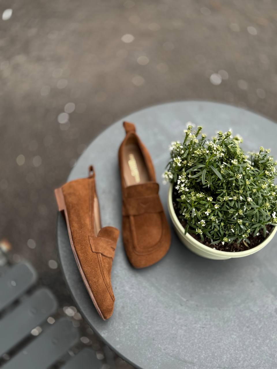 Фото Federica Lancioni