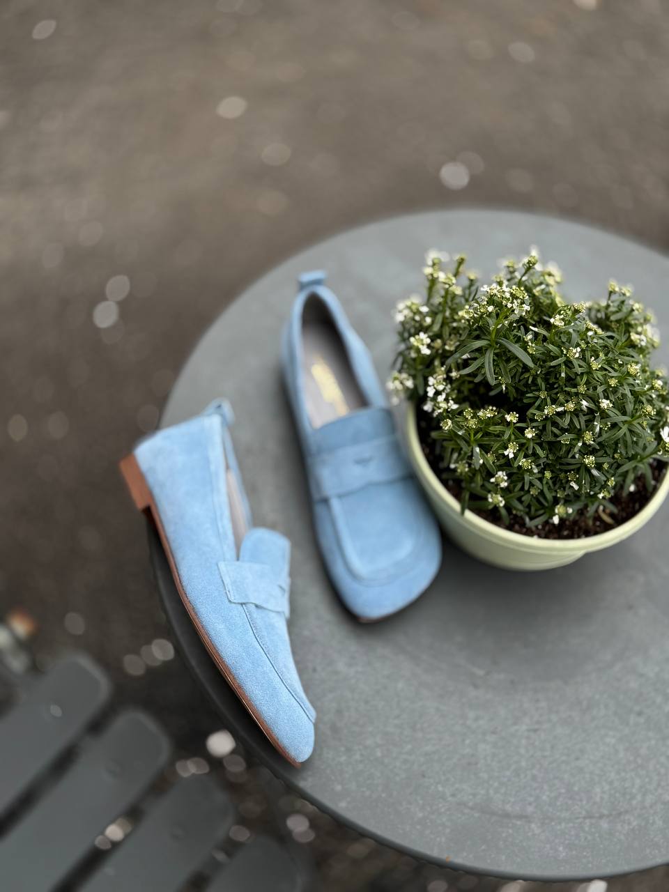 Фото Federica Lancioni