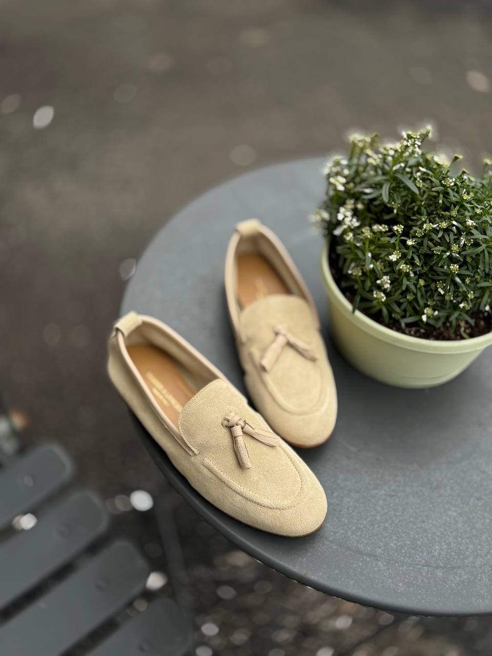 Фото Federica Lancioni