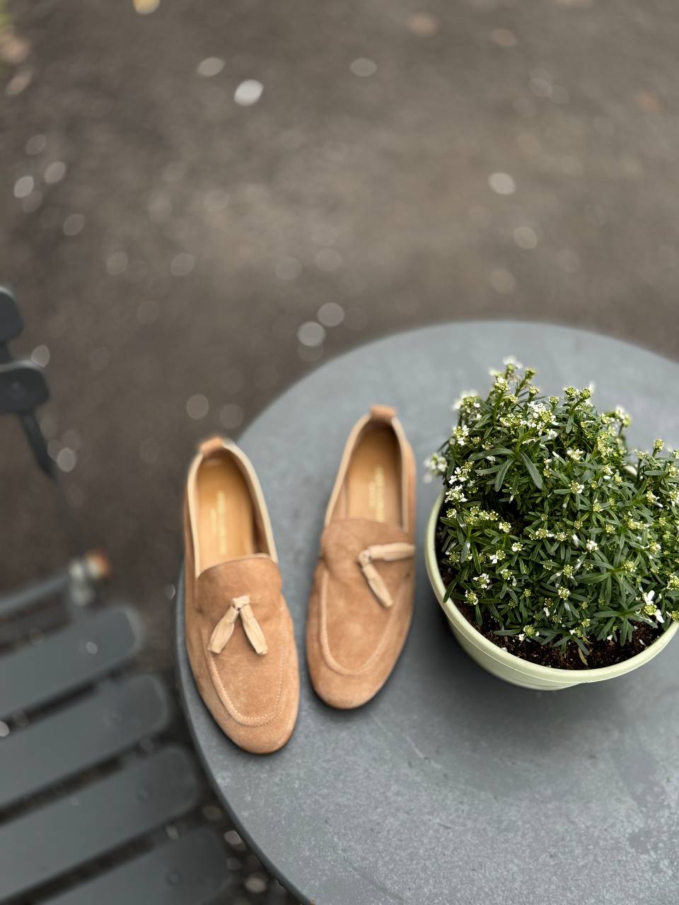 Фото Federica Lancioni