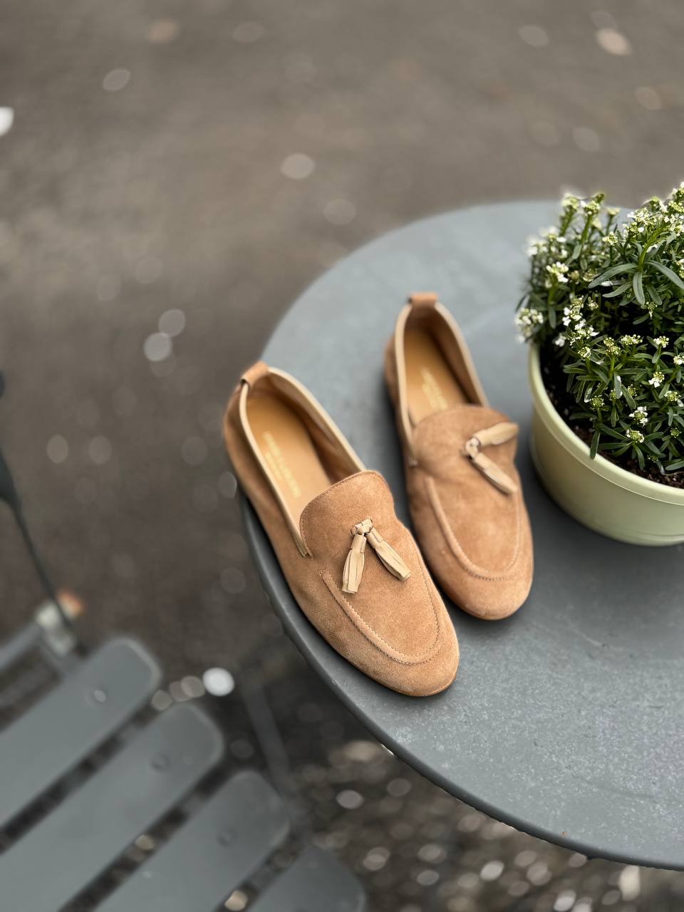 Фото Federica Lancioni