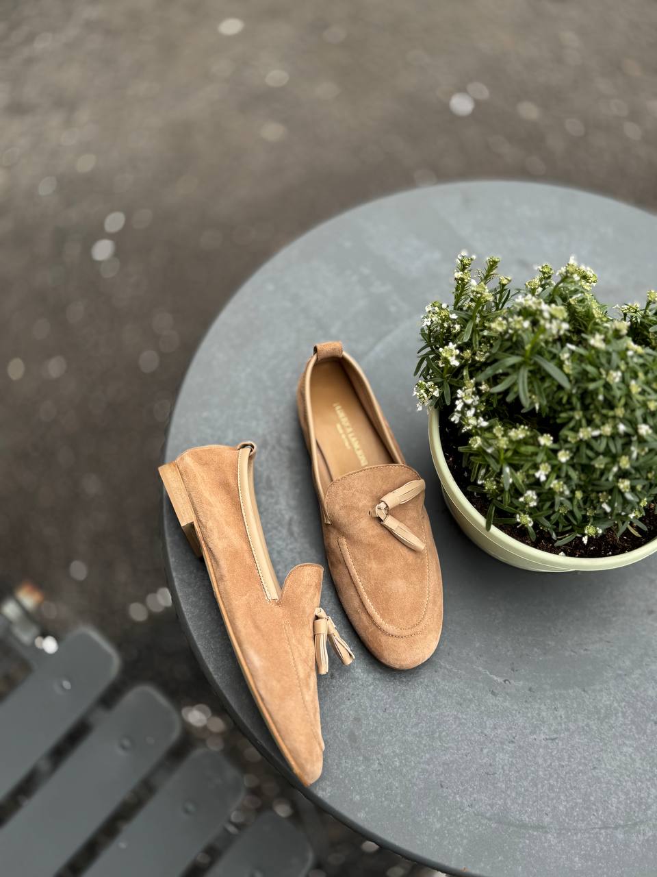 Фото Federica Lancioni