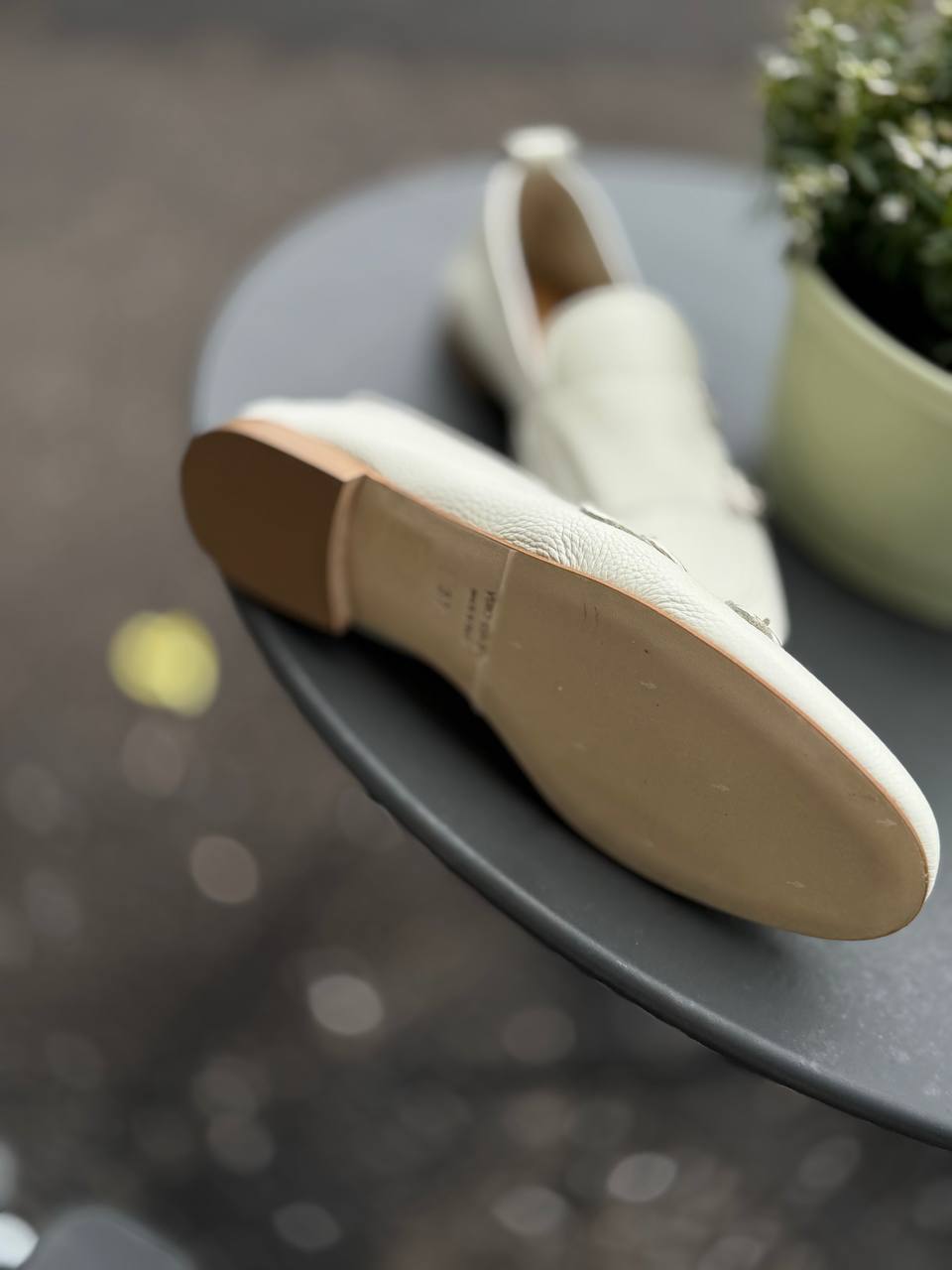 Фото Federica Lancioni