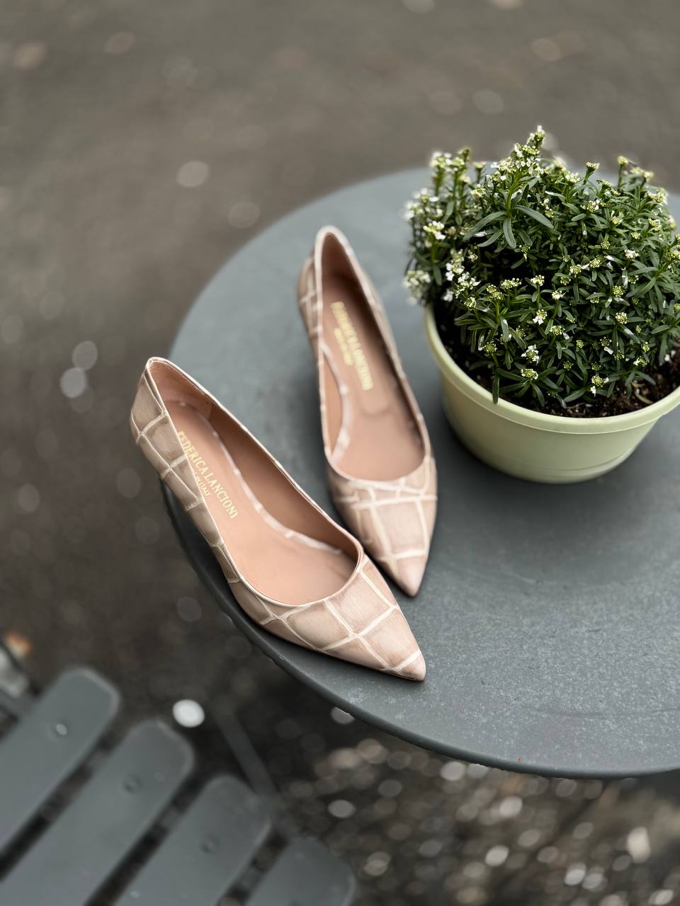 Фото Federica Lancioni