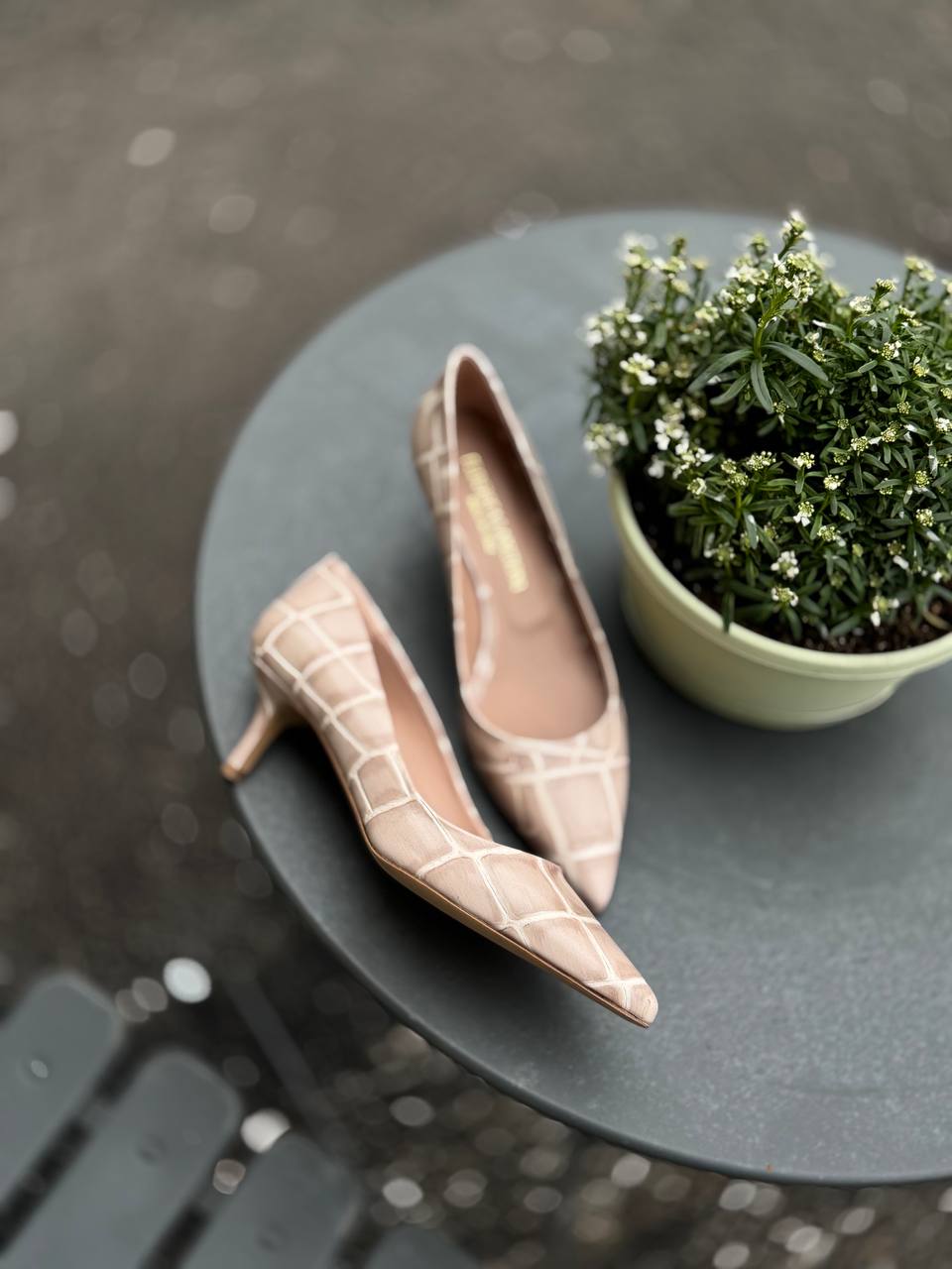 Фото Federica Lancioni