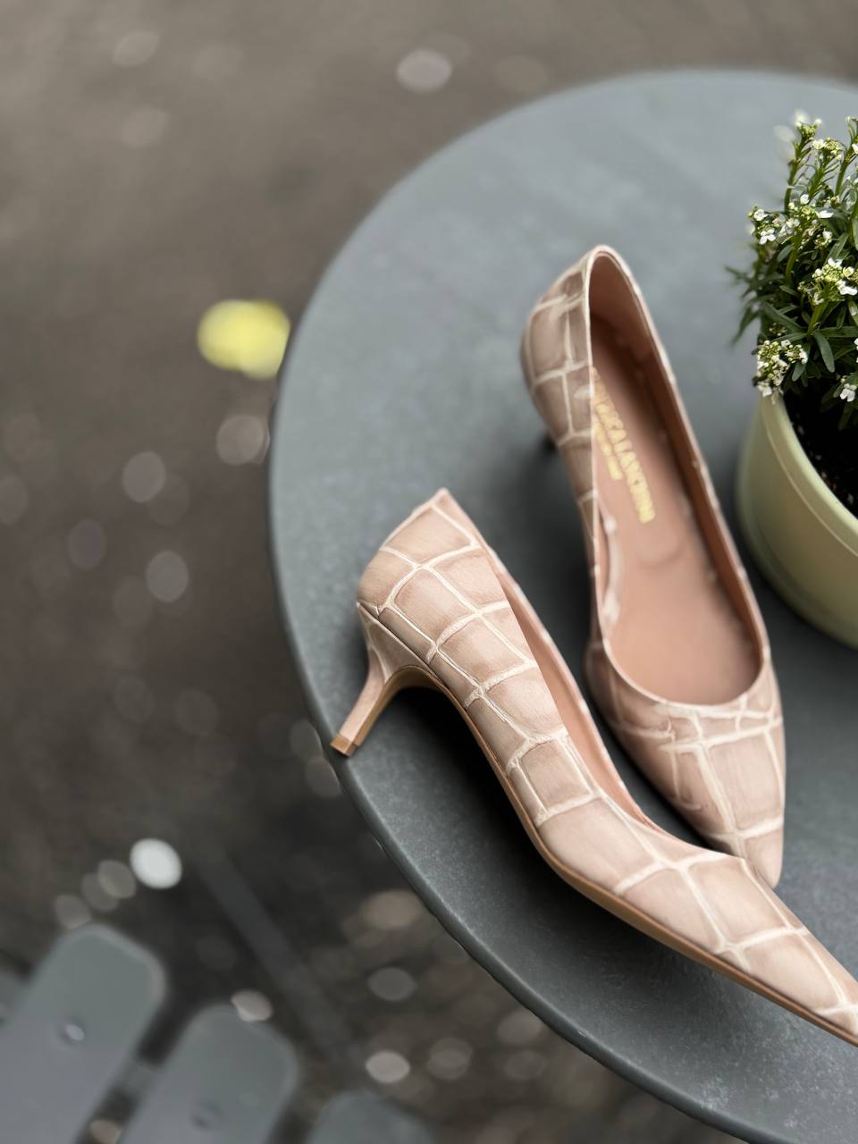 Фото Federica Lancioni