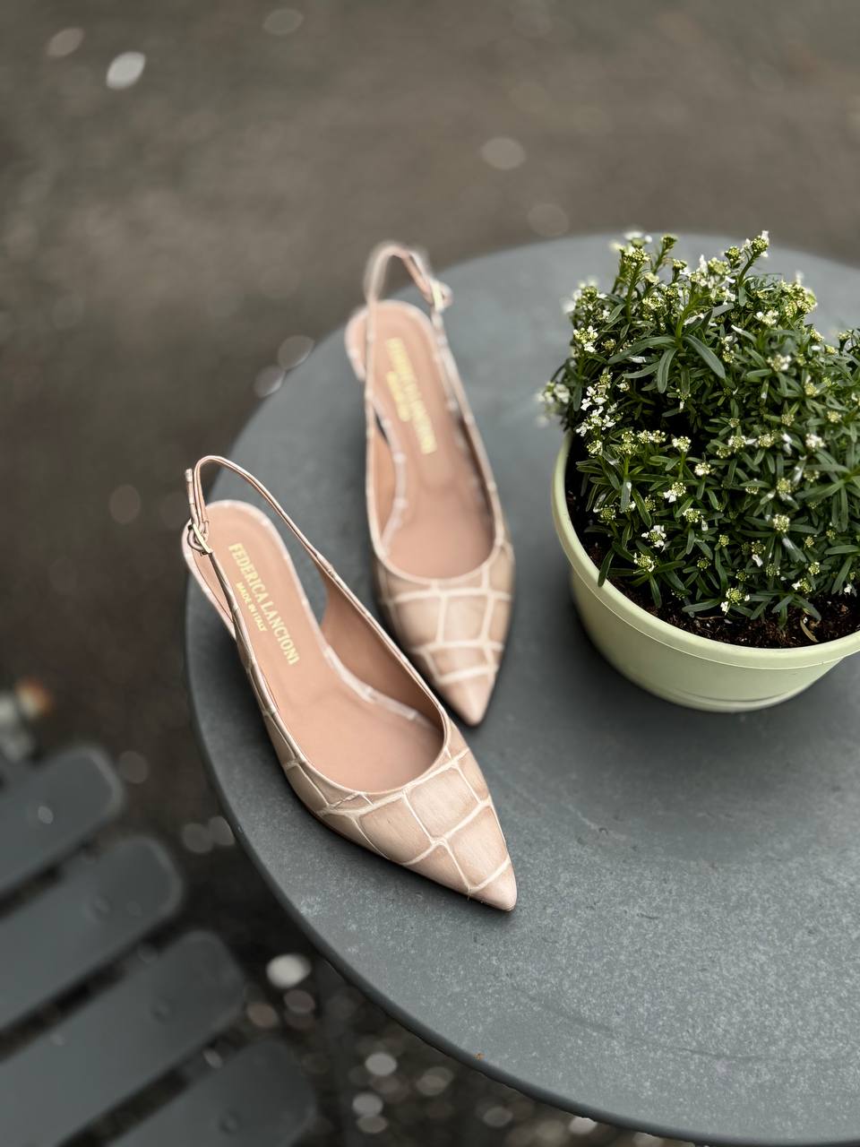 Фото Federica Lancioni