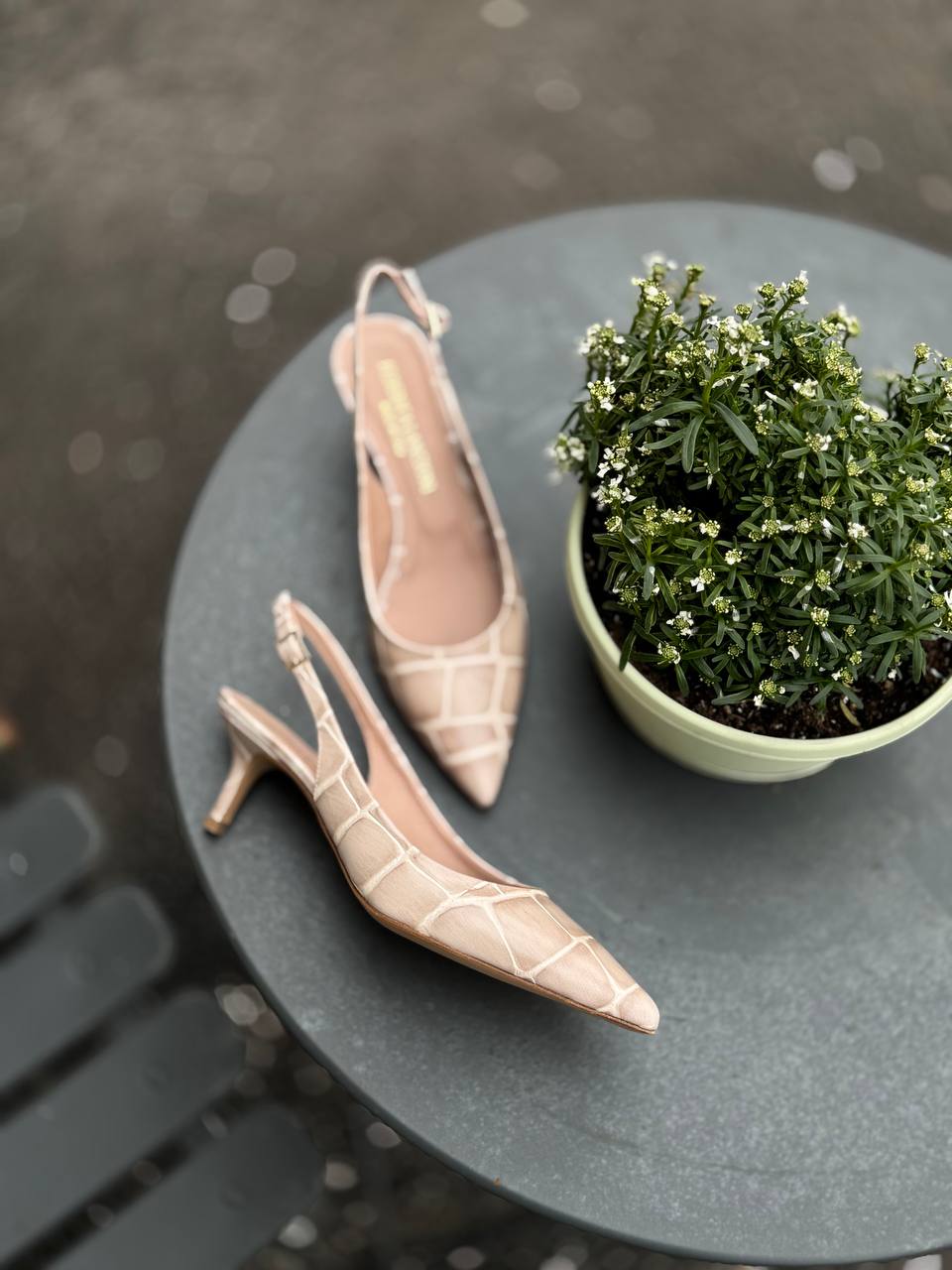 Итальянская одежда, бренд Federica Lancioni, арт. 74093614