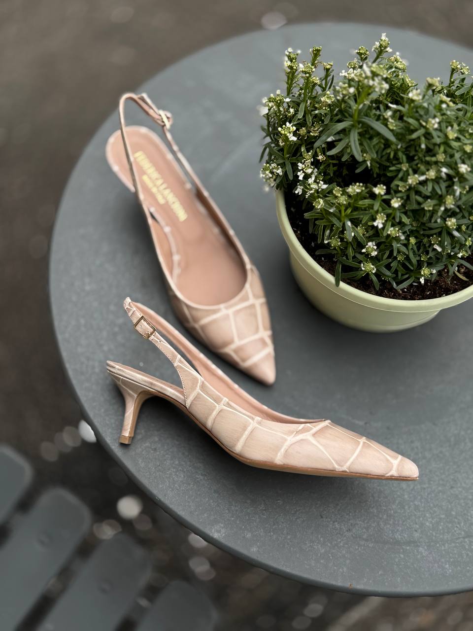 Фото Federica Lancioni