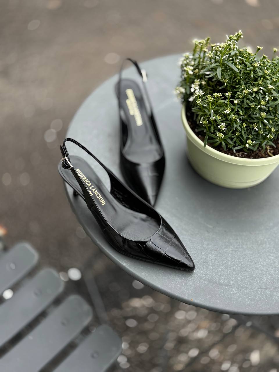 Фото Federica Lancioni