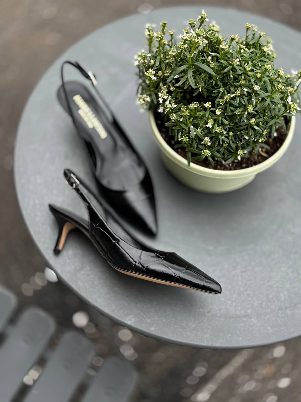 Фото Federica Lancioni