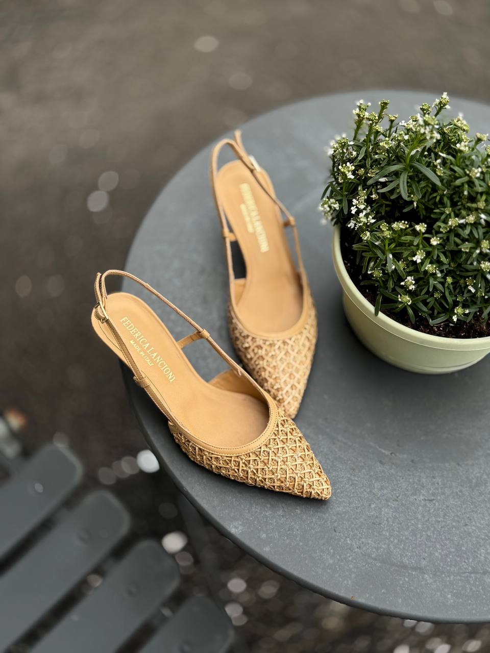 Фото Federica Lancioni