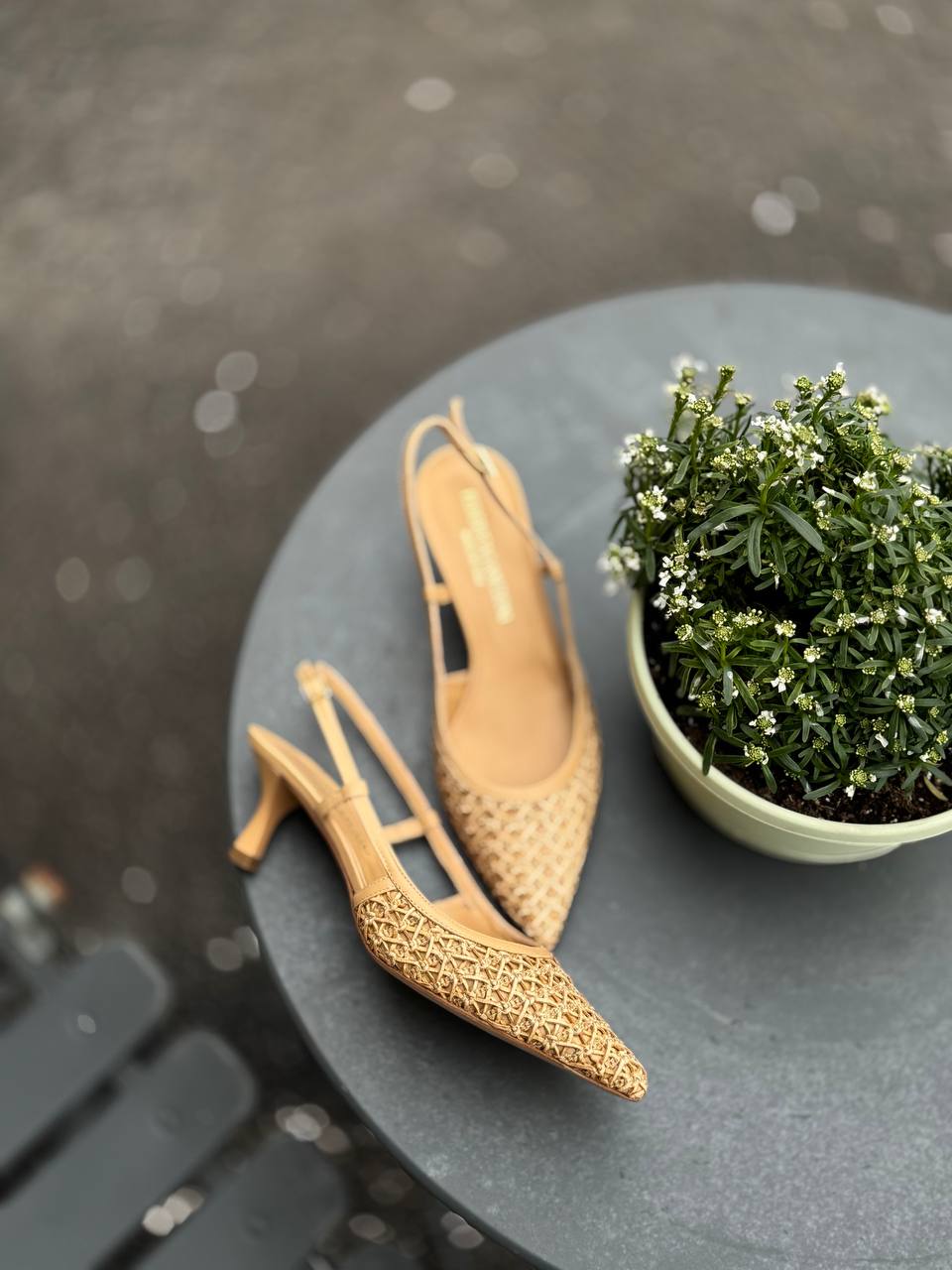 Фото Federica Lancioni