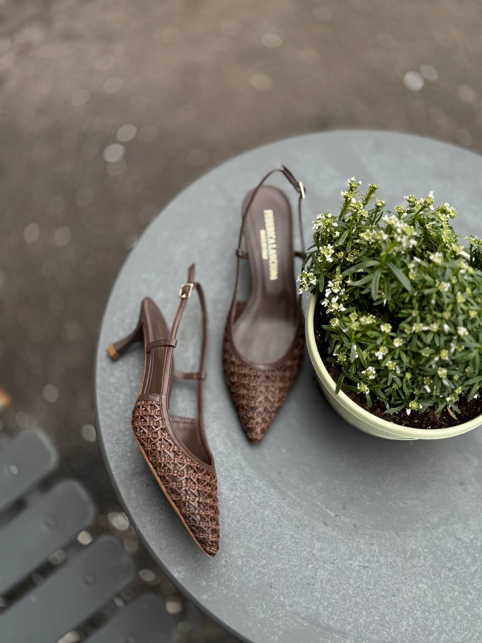 Фото Federica Lancioni