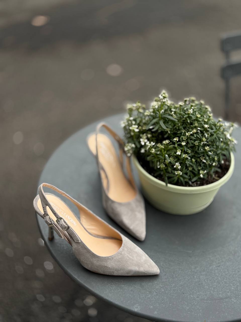 Фото Federica Lancioni