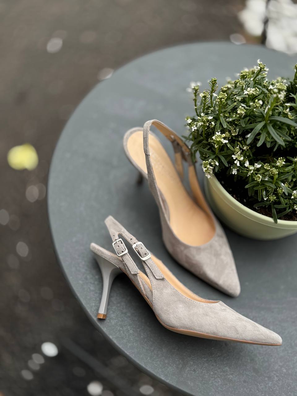 Фото Federica Lancioni