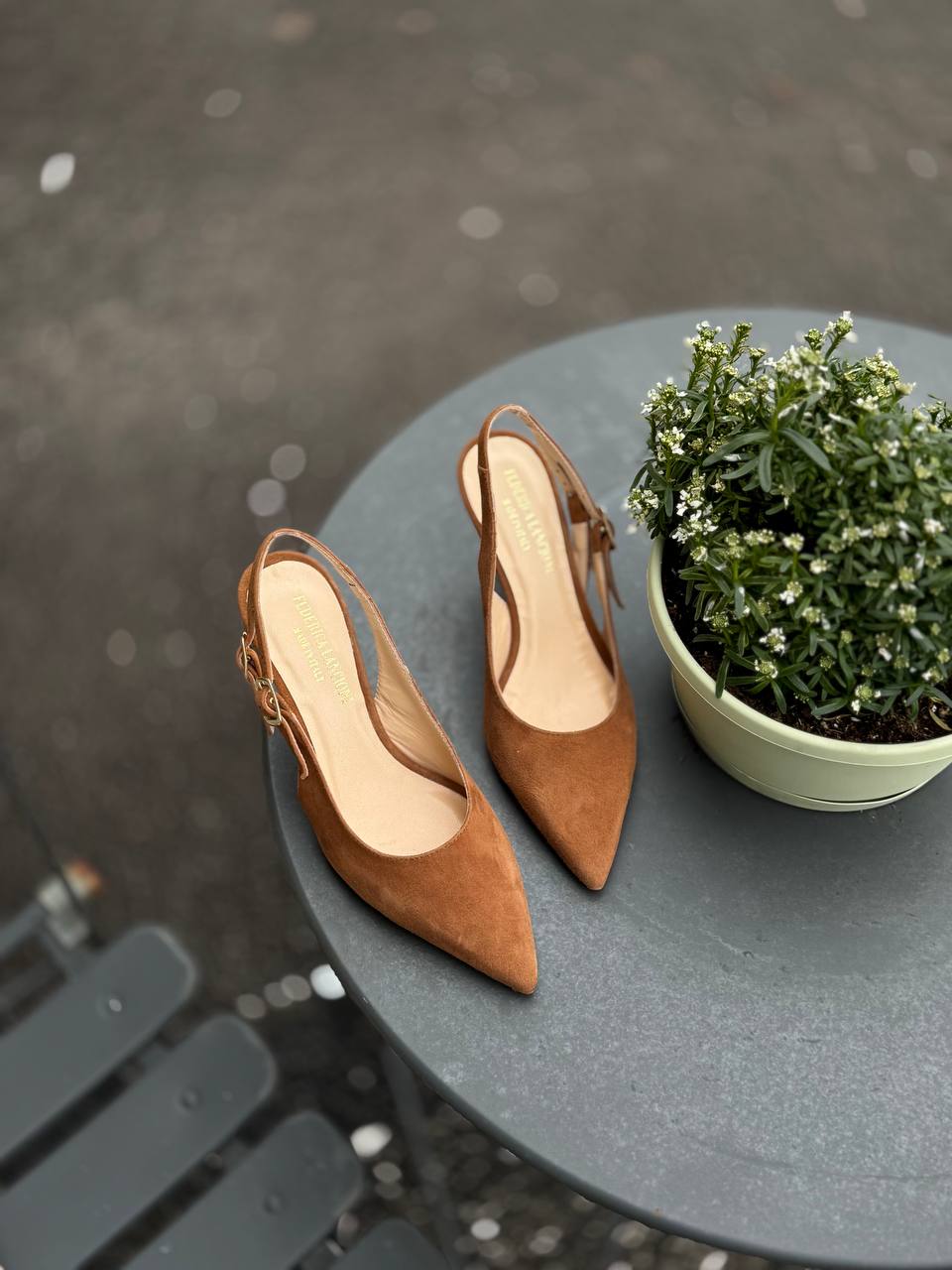 Фото Federica Lancioni