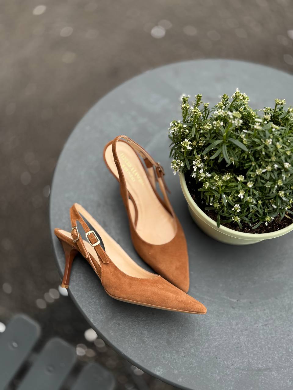 Фото Federica Lancioni