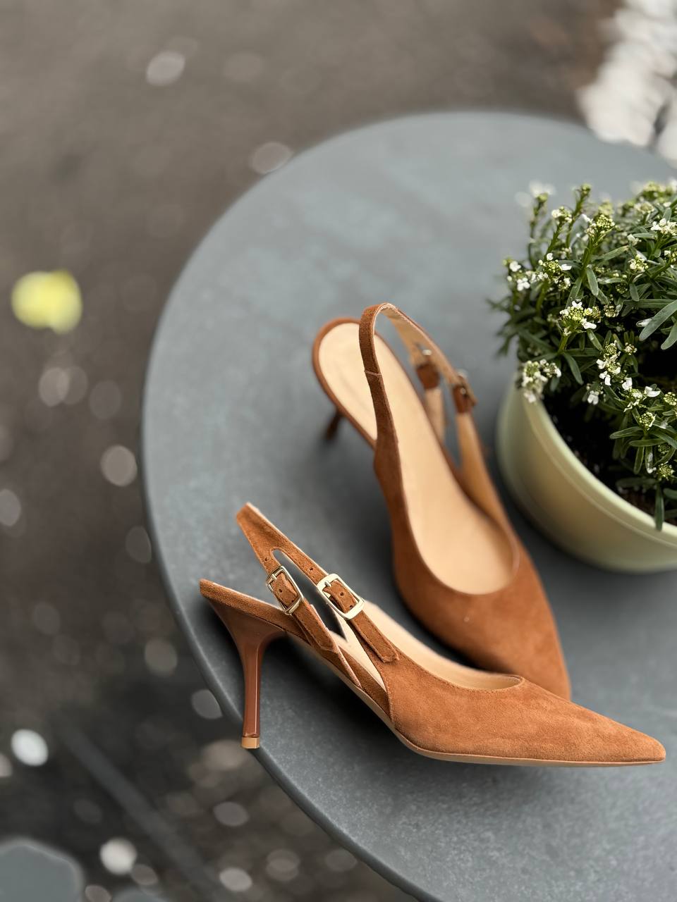 Фото Federica Lancioni