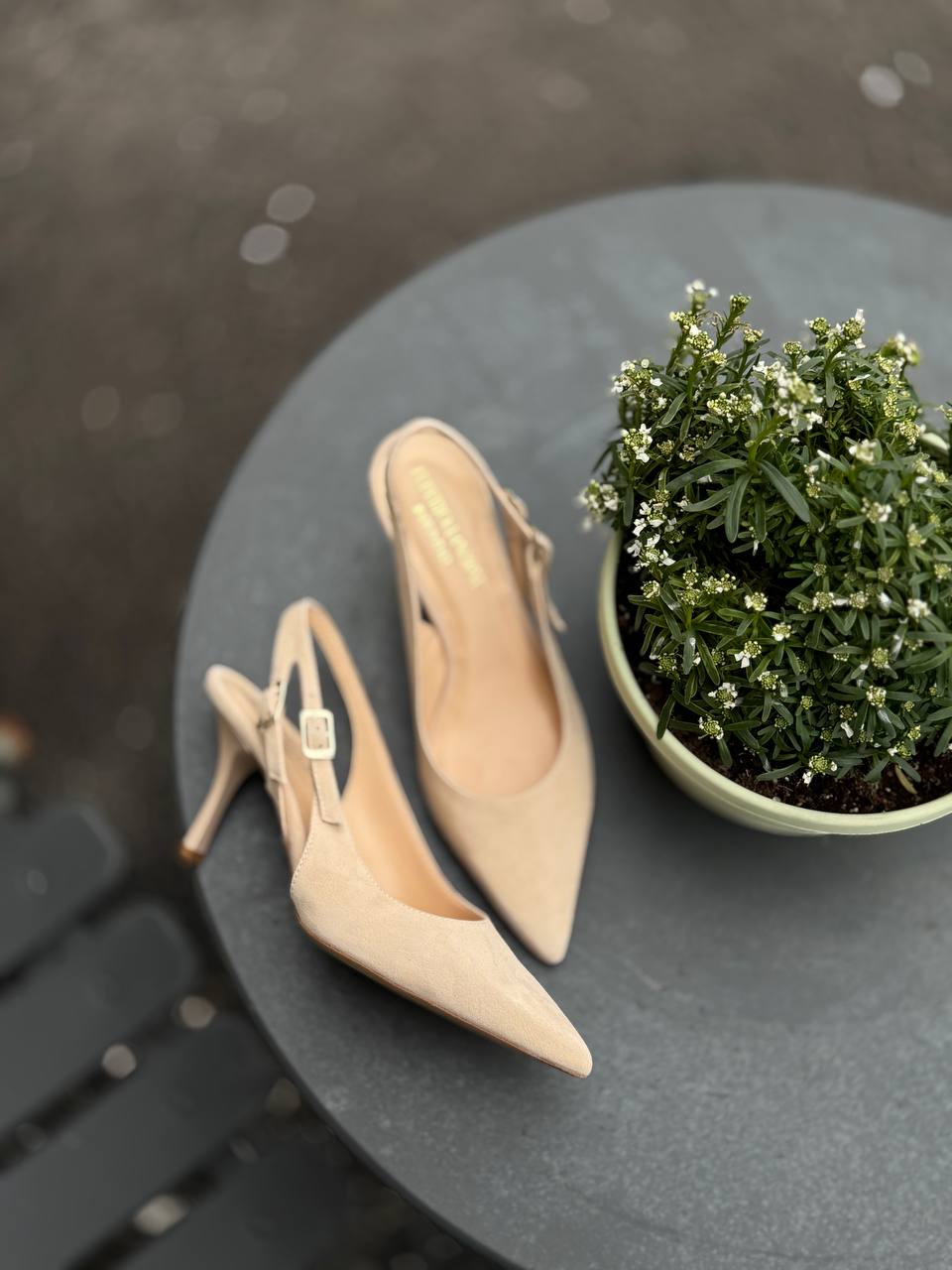 Фото Federica Lancioni