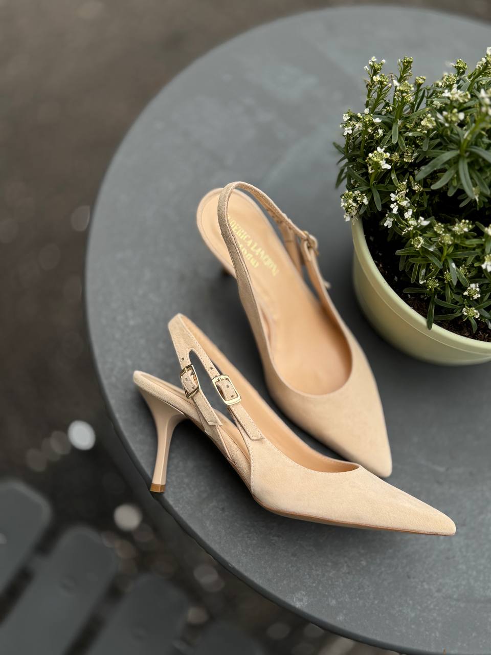 Фото Federica Lancioni