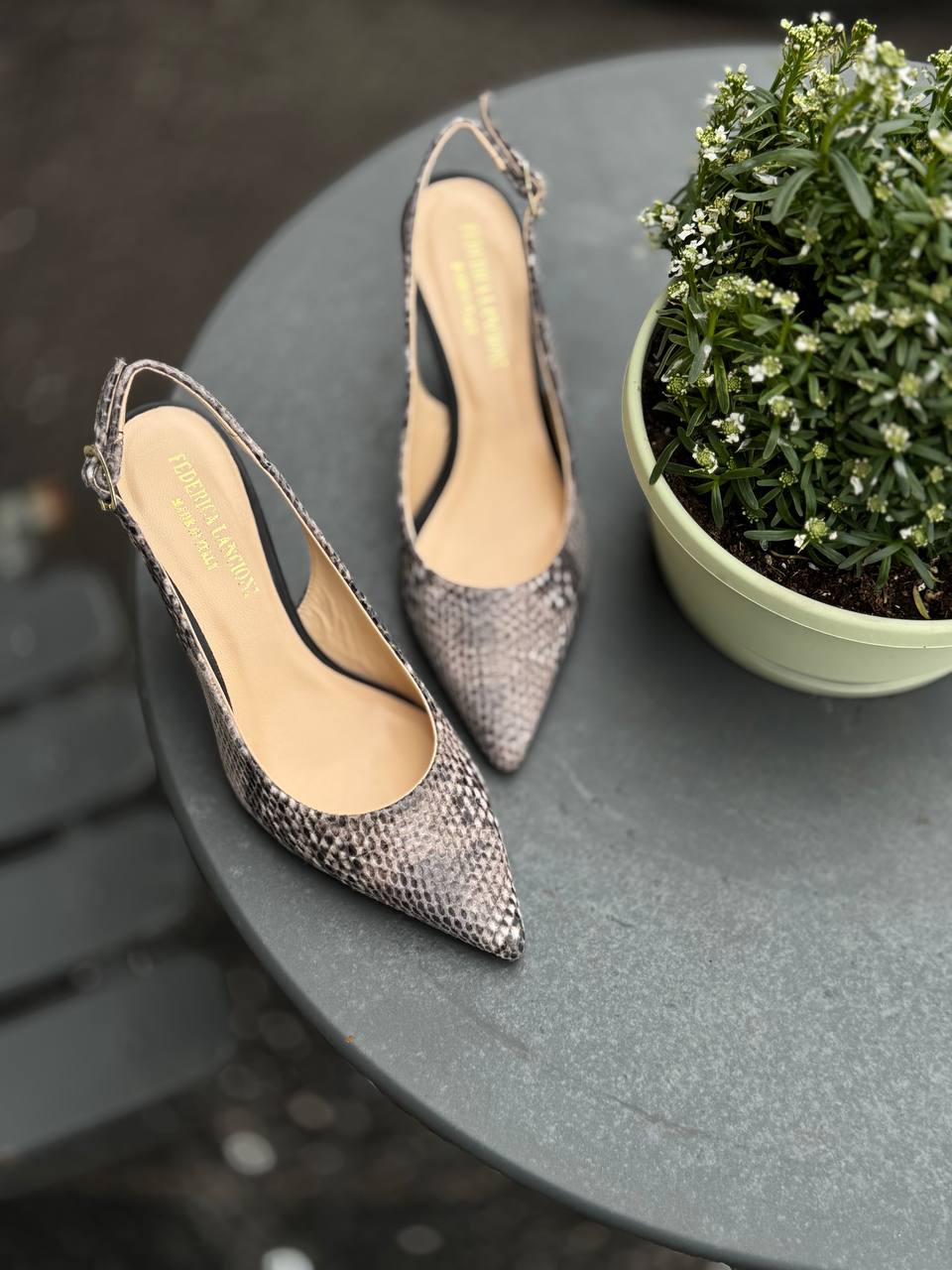 Фото Federica Lancioni