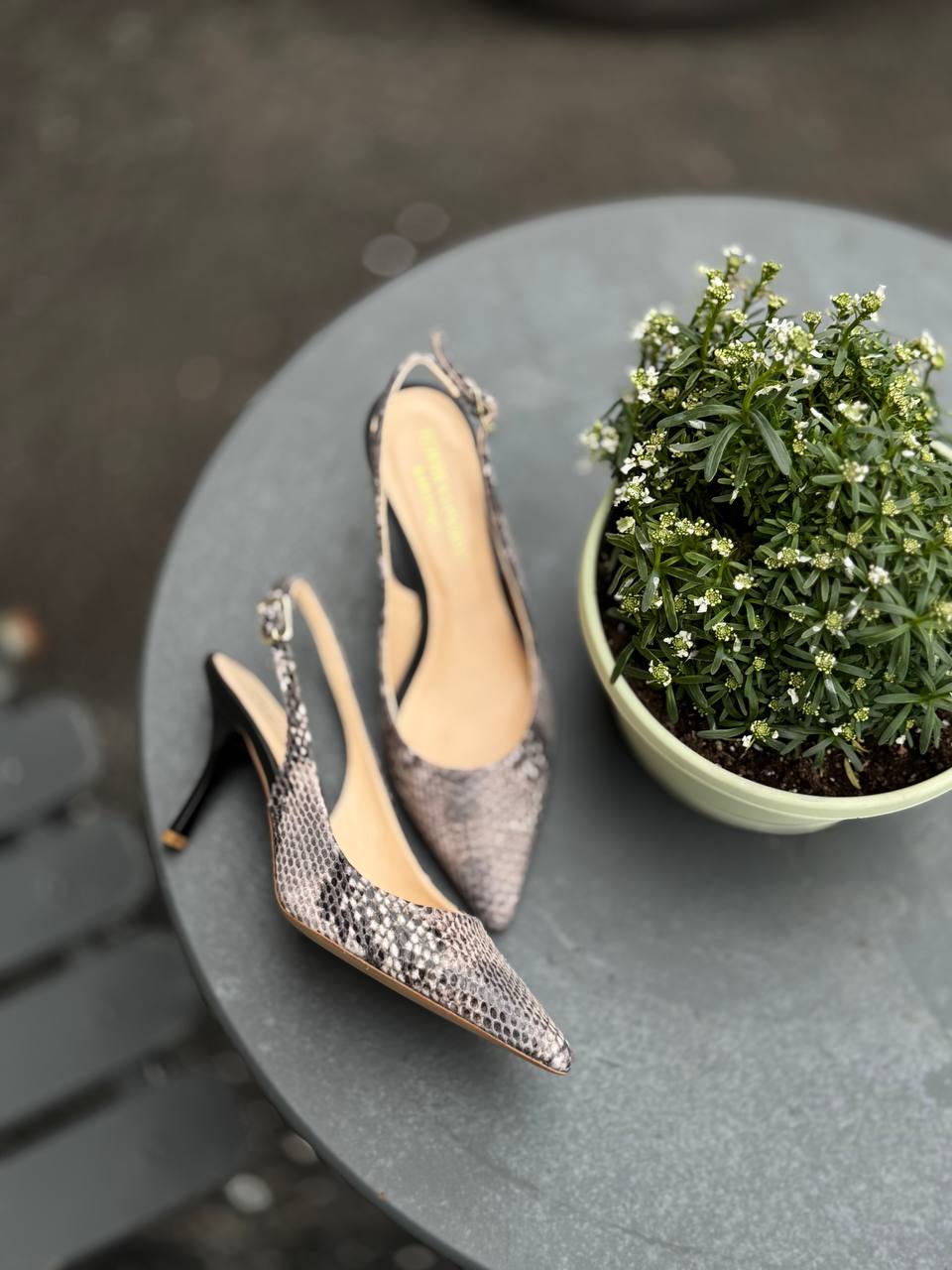 Фото Federica Lancioni