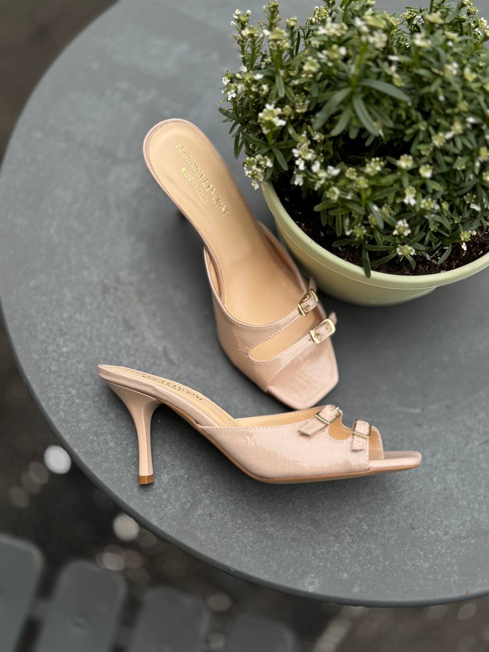 Фото Federica Lancioni