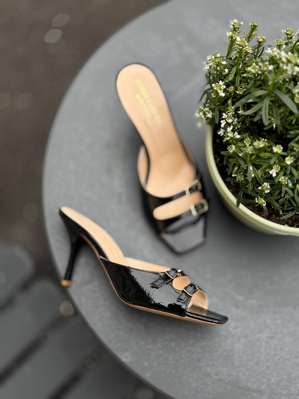 Фото Federica Lancioni