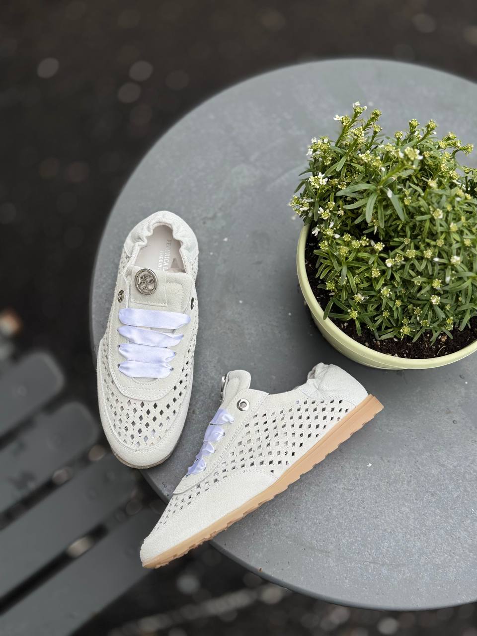 Фото Federica Lancioni