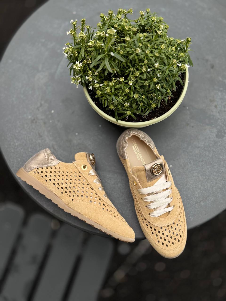 Фото Federica Lancioni