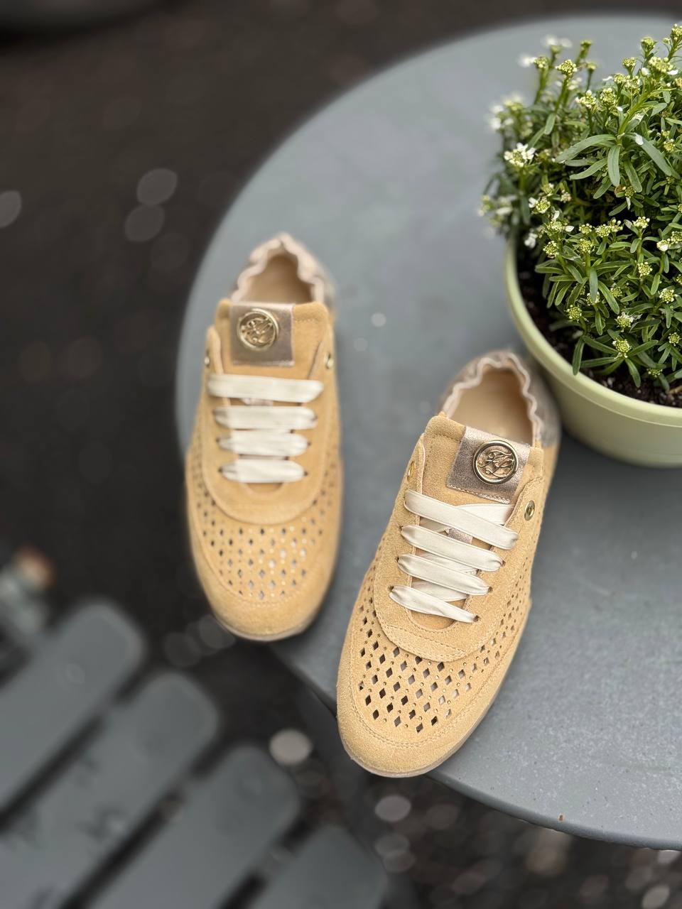 Фото Federica Lancioni